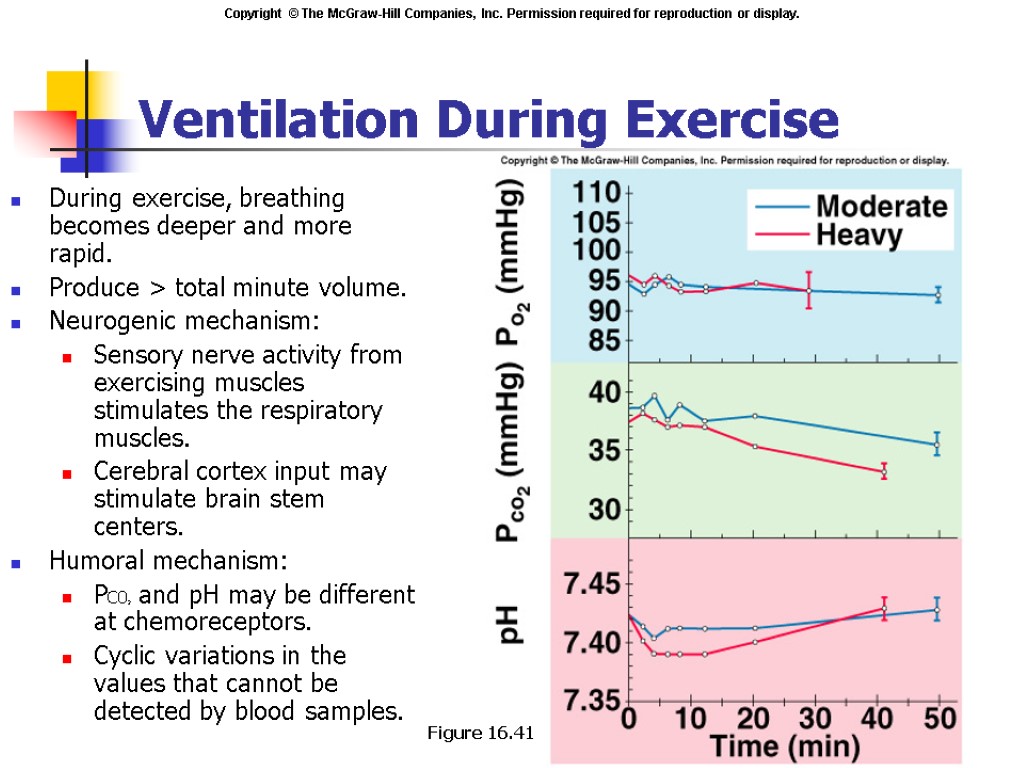 Ventilation During Exercise During exercise, breathing becomes deeper and more rapid. Produce > total